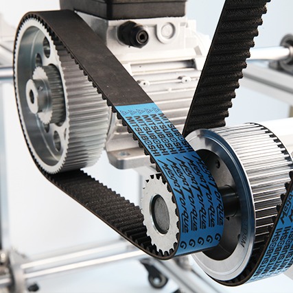Modified curvilinear timing belt fitted around a toothed pulley for precise belt engagement.