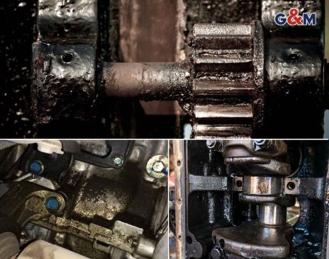 Gates Predator V Belts operating in extreme industrial conditions with heat oil and cold resistance